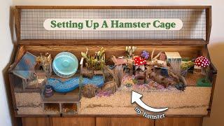 Set Up A Hamster Cage With Me  Natural Woodland Garden