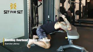 Kneeling Overhead Triceps Extension  SFS Exercise Library