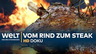 Vom Rind zum Steak - Europas größter Schlachthof  HD Doku