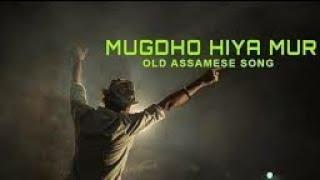 Lyrics -Mugdha Hiya Mur  Zubeen Garg & Jonkie Borthakur Assamese Sad Song Assamese evergreen song