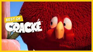 CRACKÉ - BIG FAT BIRD  Cartoon Animation  Compilation