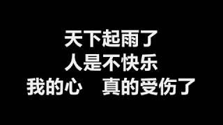 张学友 - 《我真的受伤了》 歌词