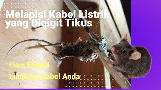 Melapisi Kabel Listrik yang Digigit Tikus Cara Efektif Lindungi Kabel Anda