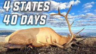 WE BOWHUNTED ELK IN 4 STATES FOR 40 DAYS STRAIGHT 9 Bulls Down