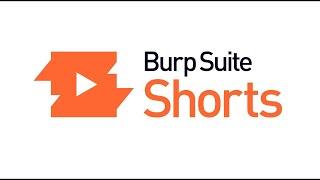 Burp Suite Shorts  Insertion Points panel