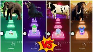Funny ElephantFunny FerdinandFunny CowFunny MammothLets See Who is best?#coffindance