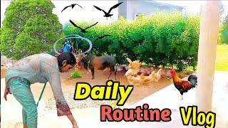 home cleaning vlog l Daily routine vlog