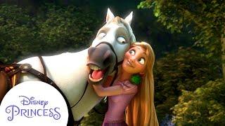 Rapunzel Wins Over Maximus  Tangled