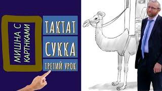 Трактат Сукка с картинками. Третий урок