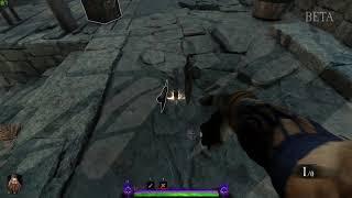 Bardin Axes Medium