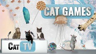 Permainan Kucing  Kompilasi Ultimate Cat TV Vol 6  1 JAM 