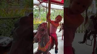 Веселое видео Ребенок катается на карусели в зоопарке #kids #funnybaby #toddlers #funnyclips