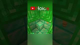 Minecraft Optical Illusion #shorts