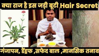 Secret Tips to Hair Regrow and Vow to Stop Hair Fall  Ayurvedic Home Remedies Jadi Buti Desi Nuskhe