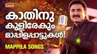 MAPPILA SONGS  Malayalam Mappila Songs  Nisari Mappila Pattukal  Pazhayamappila Songs