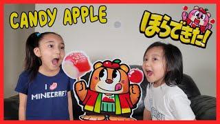 DIY Japanese candy apple  Hora dekita apple candy ほら できた りんご あめ #keihikarutv #DIY #FunCandy