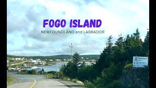 Discover The Majestic Beauty of Fogo Island Newfoundland Canada