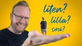 The MOST IRREGULAR word in SWEDISH