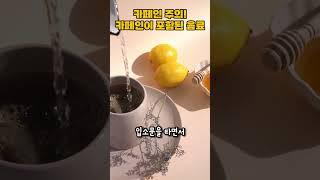 카페인주의 커피 외 카페인이 함유된 음료들