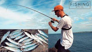 HOW TO CATCH MACKEREL ON LIGHT GEAR - PLUS FEATHERS  SHORE FISHING FOR MACKEREL