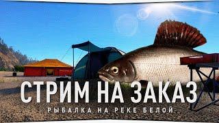 Рыбалка на реке Белой • Ультралайт мах донка • Русская Рыбалка 4