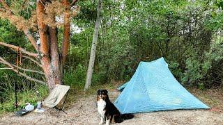 Cheeky Mid week micro Adventure Camping with my Dog.