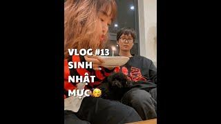 VLOG #13 SINH NHẬT MỰC   duongfynn