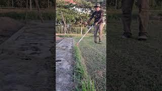 Grass Trimmer0015