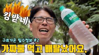 인도여행 모르면 당하는 겁니다. 주재원과 장기여행자들을 위한 구르가온 필수정보 2탄