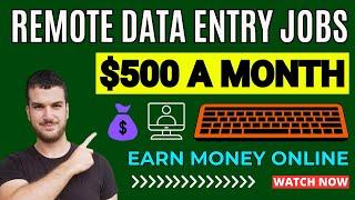 Best Remote Data Entry Jobs - No Experience Online Jobs - Earn Money Online 2024