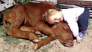 Animals Love Babies - Cute Babies & Animals Compilation