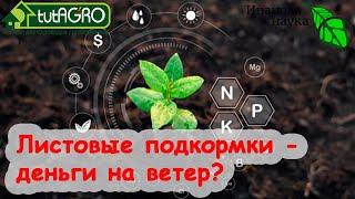 СЕКРЕТЫ ЛИСТОВЫХ ПОДКОРМОК. КОРМИТЬ и НАКОРМИТЬ а не просто ПРЫСКАТЬ. Этот секретный ингредиент...