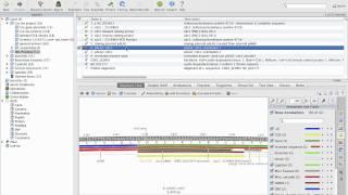 Kpn1 digest figure