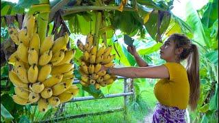 Fresh banana in my countryside and cook food recipe - Polin lifestyle