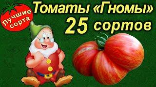 ТОМАТЫ СЕРИИ ГНОМЫ - обзор 25 сортов лучшие сорта томатов
