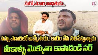 Another AP Person Stuck In Saudi Arabia Desert  Emotional Video Call  Kuwait Updates 