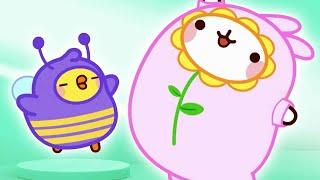 Molang dan Piu Piu  Penari  Kartun Lucu Anak Anak  Molang Bahasa