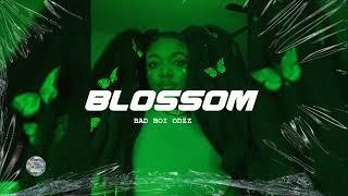 SOLD Libianca type beat X Ayra Starr Type Beat - Blossom  Afro Beat Libianca Type Beat 2023