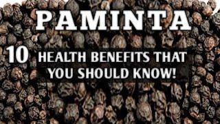 Paminta Health Benefits  Top 10 Benefits Of Black Pepper  Herbal Procedure  Homefoodgarden