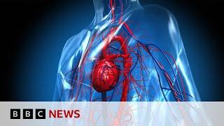 Could there soon be digital copies of your heart?  BBC News