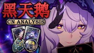 Strongest DOT DPS  Black Swan CN Analysis