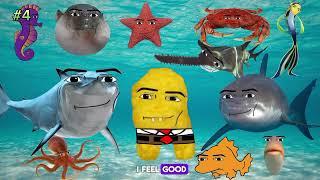 gegagedigedagedago oceanic original  oceanic gegagedigedagedago  cosmic gegagedigedagedago tiktok