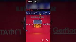 World Table Tennis Championship 2022 Highlights #Shorts