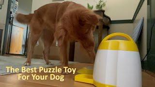 Mental Stimulation for Dogs - Puzzle Toy - Button Toy - Toller Edition