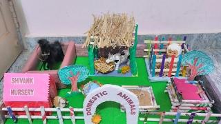 Domestic animals shelter school project 1st Prize Winner