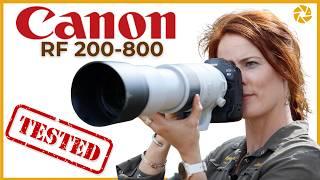 Canon RF 200-800   Field Test and First Impressions