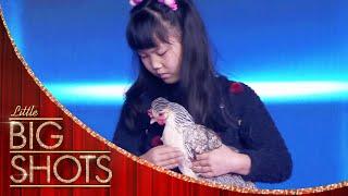 Jiaying Hypnotises Animals to Sleep  Little Big Shots