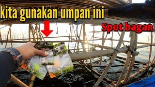 Mancing di bagan hanya 30 ribu pulang pergi  info spot mancing di jakarta utara 