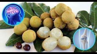 Top 10 Amazing Health Benefits Of Longan Fruit Fresh Fruit  fruit of the month