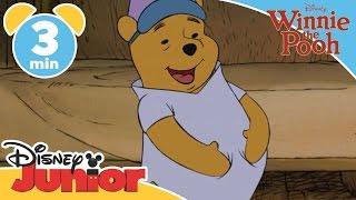 The Mini Adventures of Winnie the Pooh  Poohs Tummy   Disney Junior UK